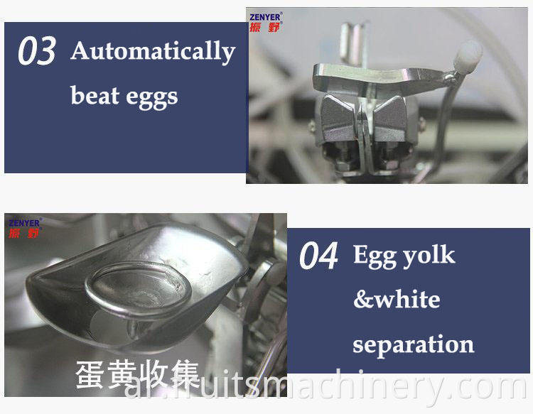 Large Scale Egg Yolk And Egg White Separator
